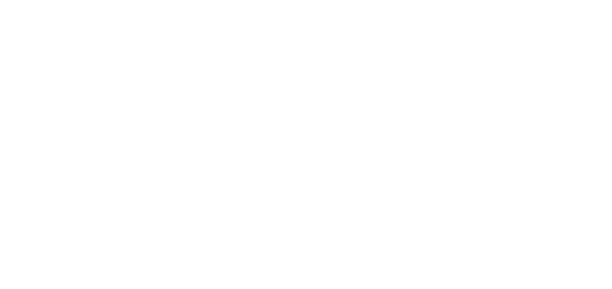 Fancy Fold